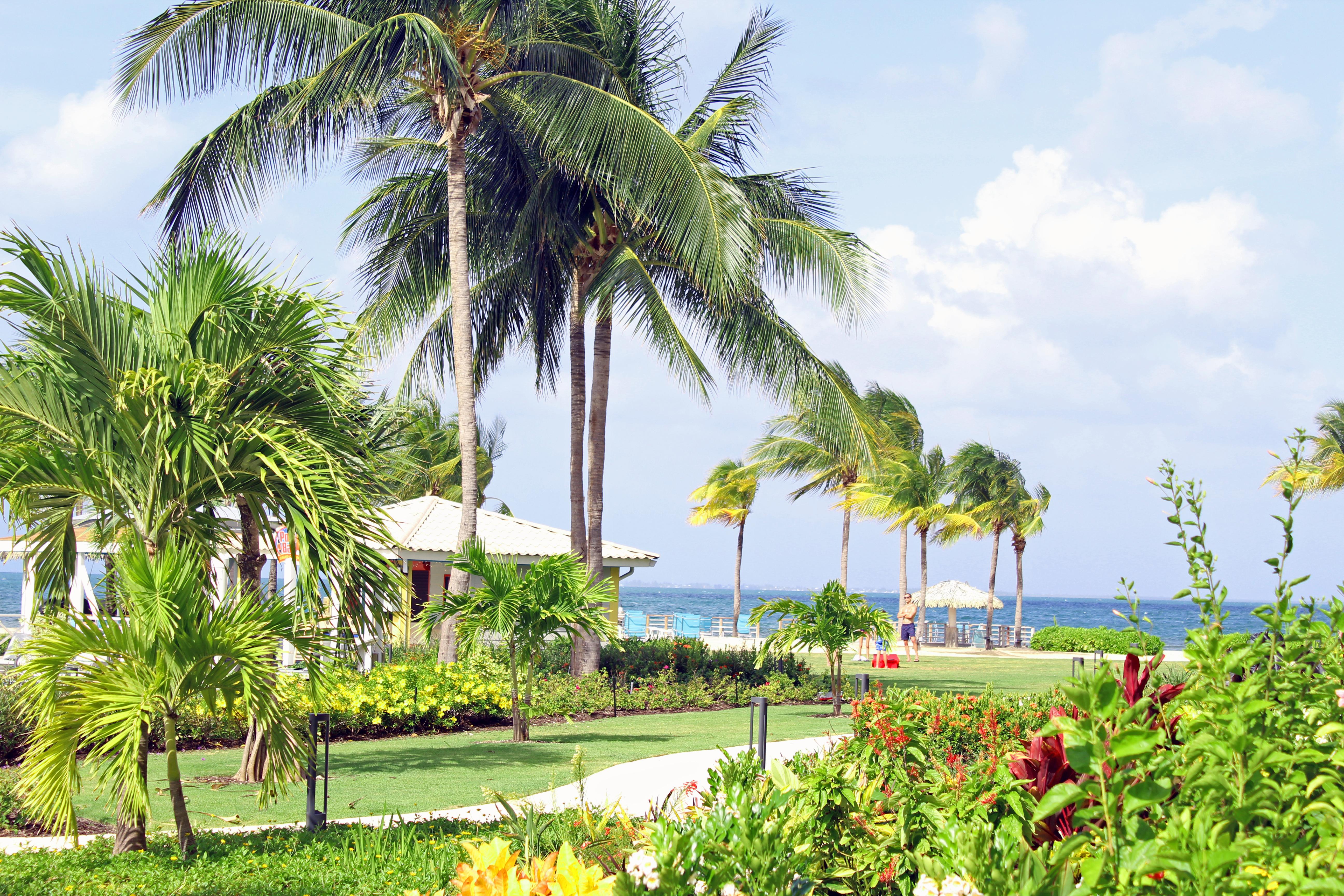 The Grand Caymanian Resort جورج تاون المظهر الخارجي الصورة