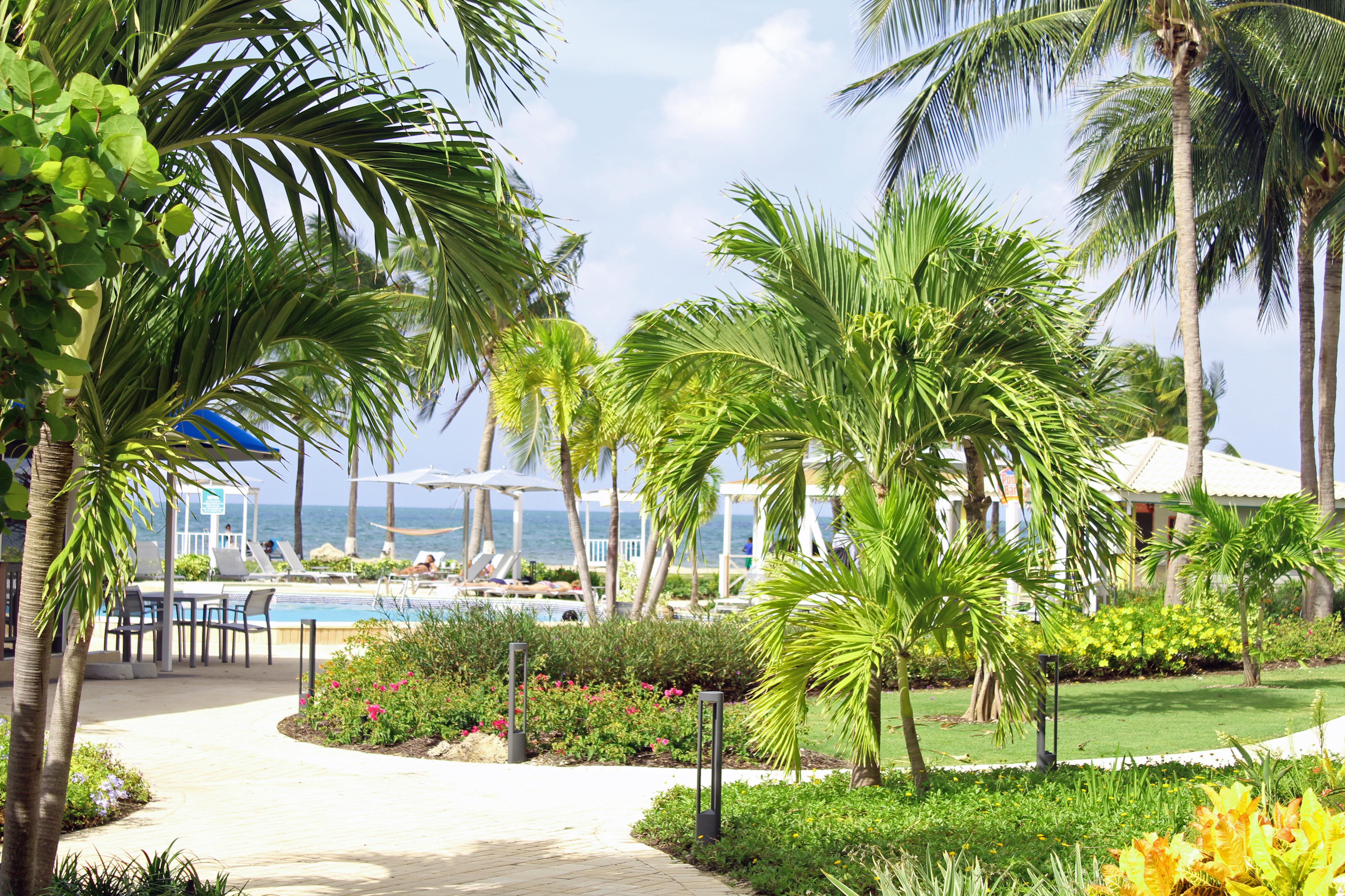 The Grand Caymanian Resort جورج تاون المظهر الخارجي الصورة